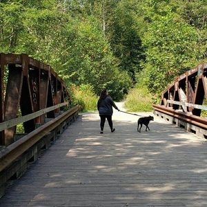 Meet your Posher, Kylie